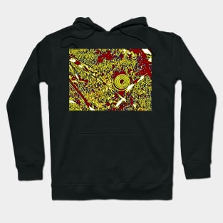 Golden Eyed Fish Path Hoodie